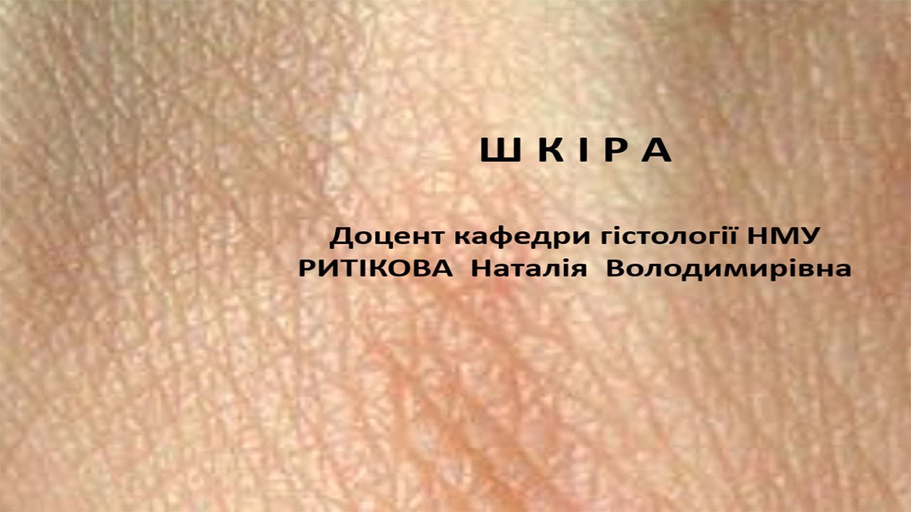 Лекція   Шкіра