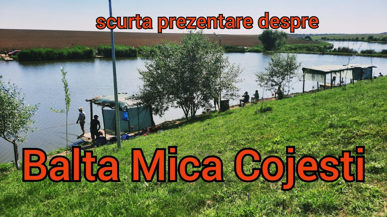 BALTA MICA COJESTI / Prezentarea baltii
