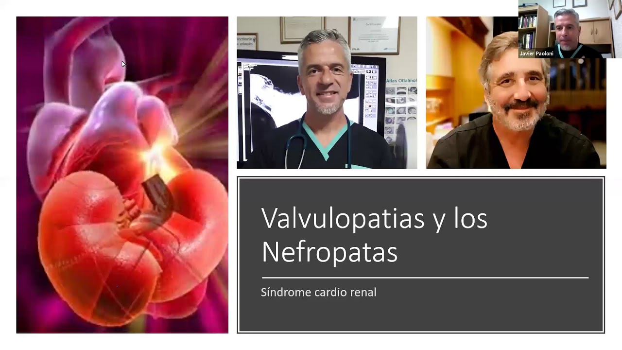 Valvulopatias y presión arterial