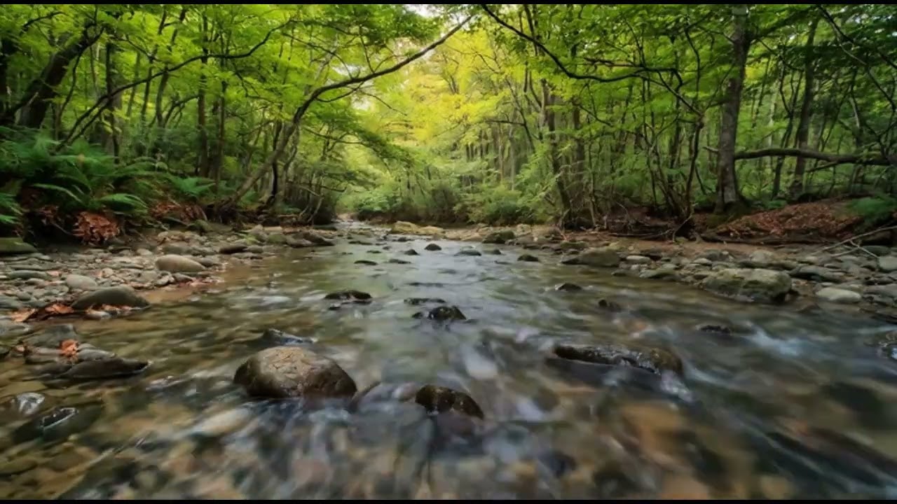 🧘 ESCAPE Chaos: 1 HOUR Music That Instantly MELTS Stress & Unlocks Deep Focus (Deep Work Flow)