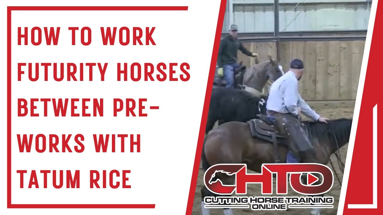How To Work Futurity Horses Between Pre-works With Tatum Rice