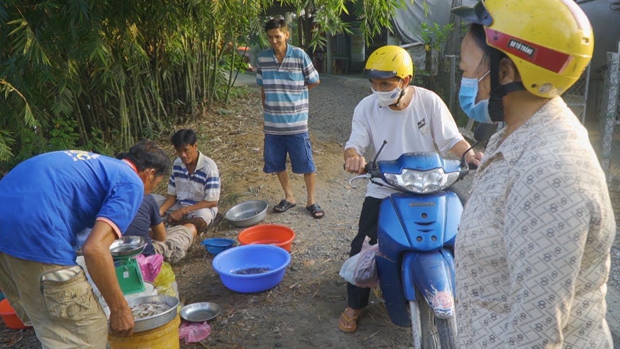 Bán Cá trên Đường Quê (22/05/2024) | Nét Quê #511