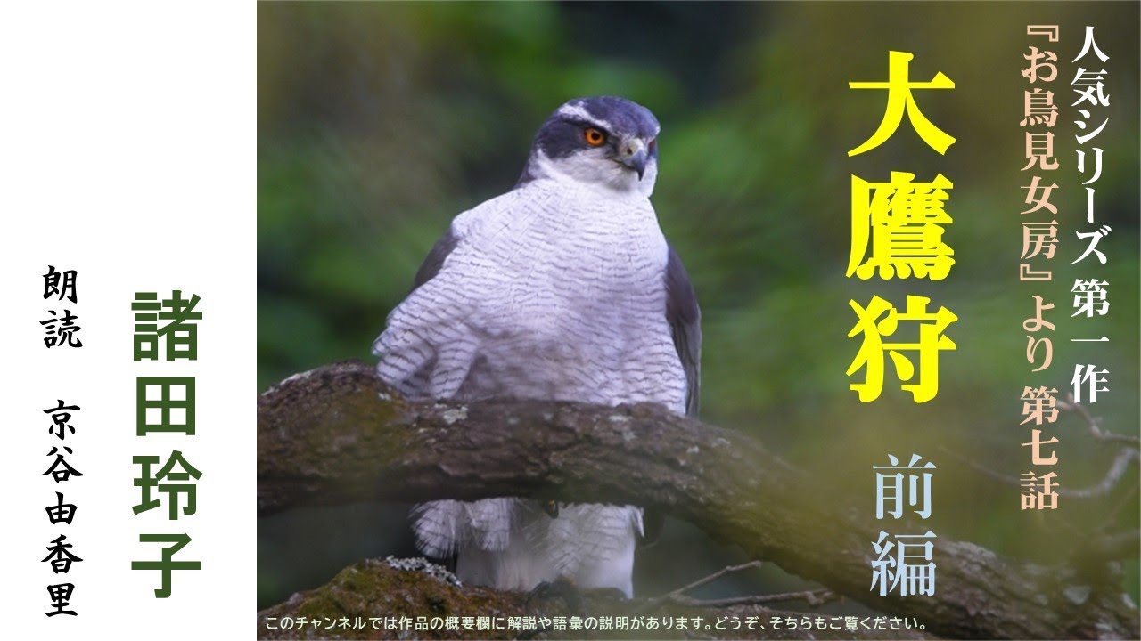 超人気シリーズ小説【朗読】諸田玲子「第七話　大鷹狩（前編）」（シリーズ１作目『お鳥見女房』より）～オーディオブック～　朗読：京谷由香里