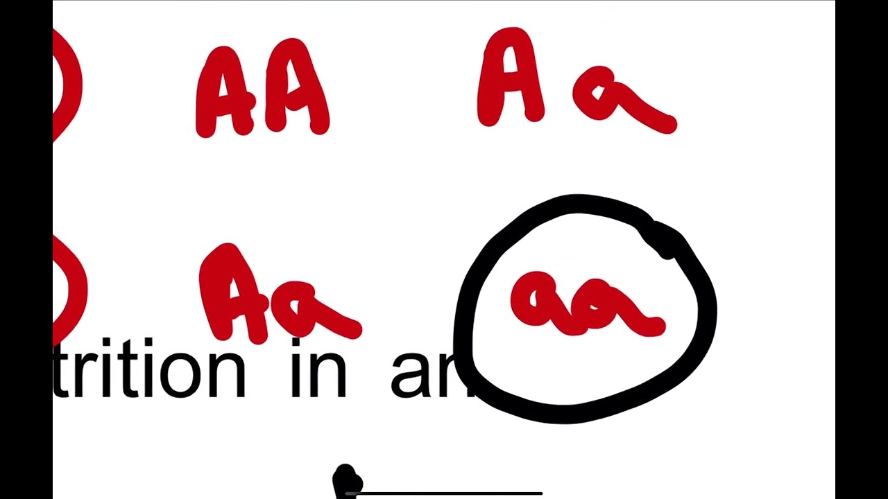 Difficult MCQs (O’level biology)