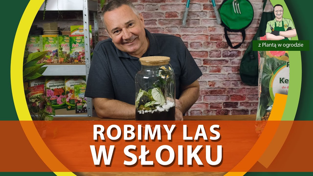 Jak zrobić las w słoiku - Z PLANTĄ W OGRODZIE