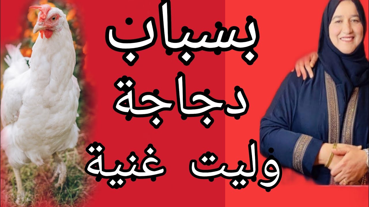 بسباب دجاجة وليت غنية 🐔🐔 #حكايتي #مع #زهرة#البجعدية #قصص #واقعية #مع #زهرة #ستار