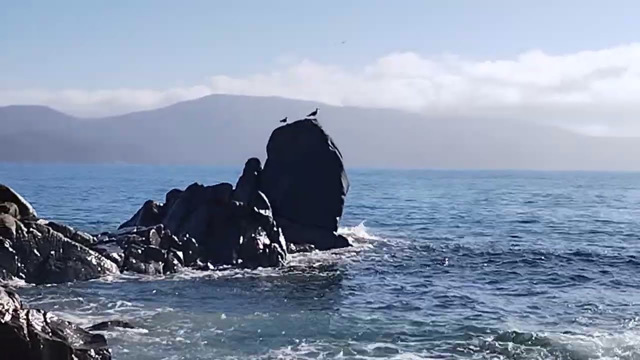 Olmeto-Plage 22/02/26😎🌞