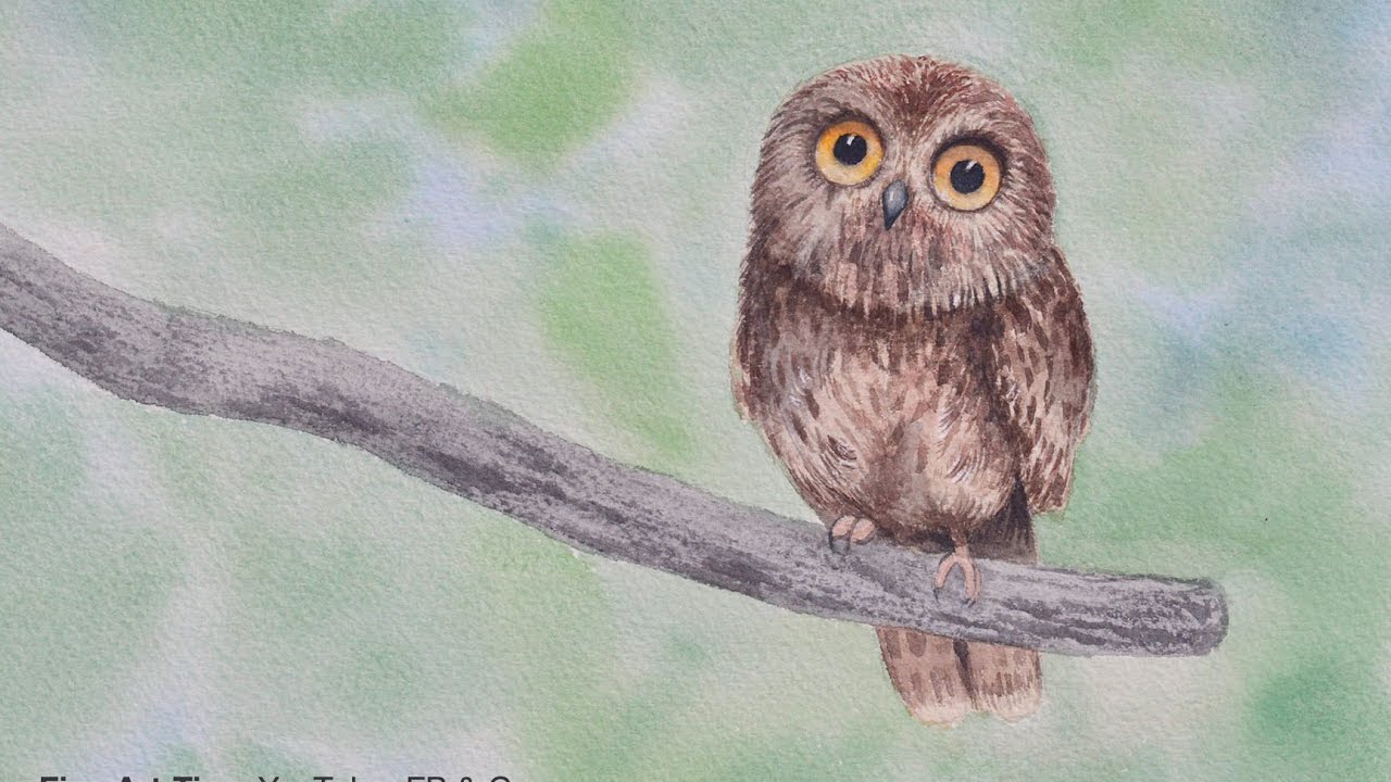 How to Paint a Pygmy Owl With Watercolor