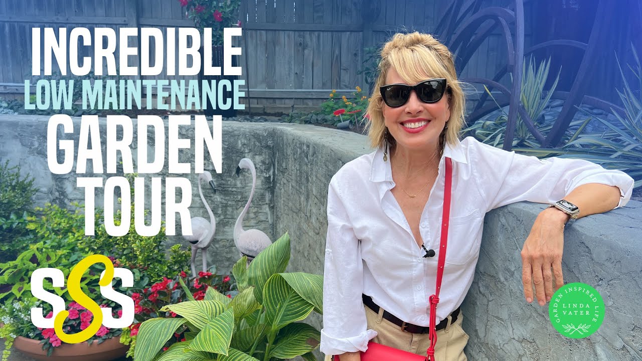 Low Maintenance Garden Secrets Finally Revealed | Linda Vater 🌿