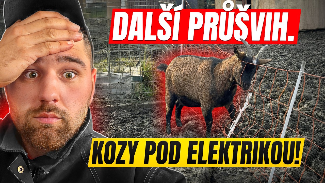 OHRADNÍK PRO KOZY??? 😱😱😱