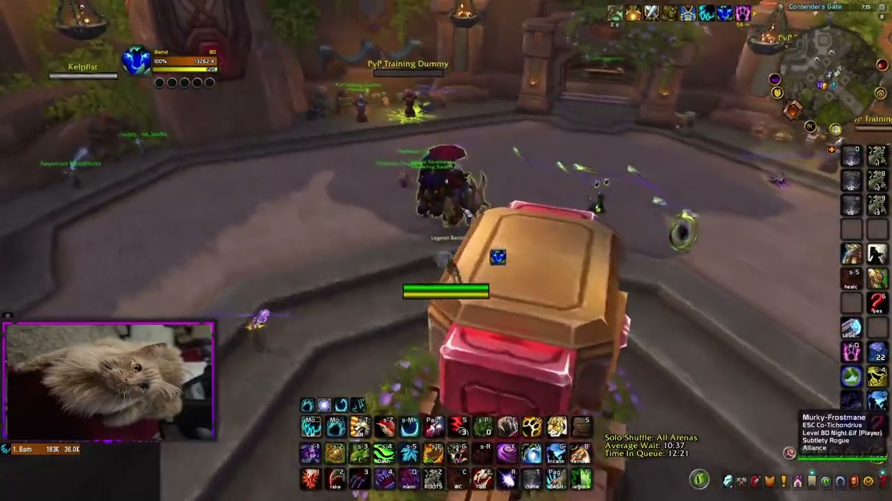 2x Legend Feral/3204M+ - LFG Games + Shuffle