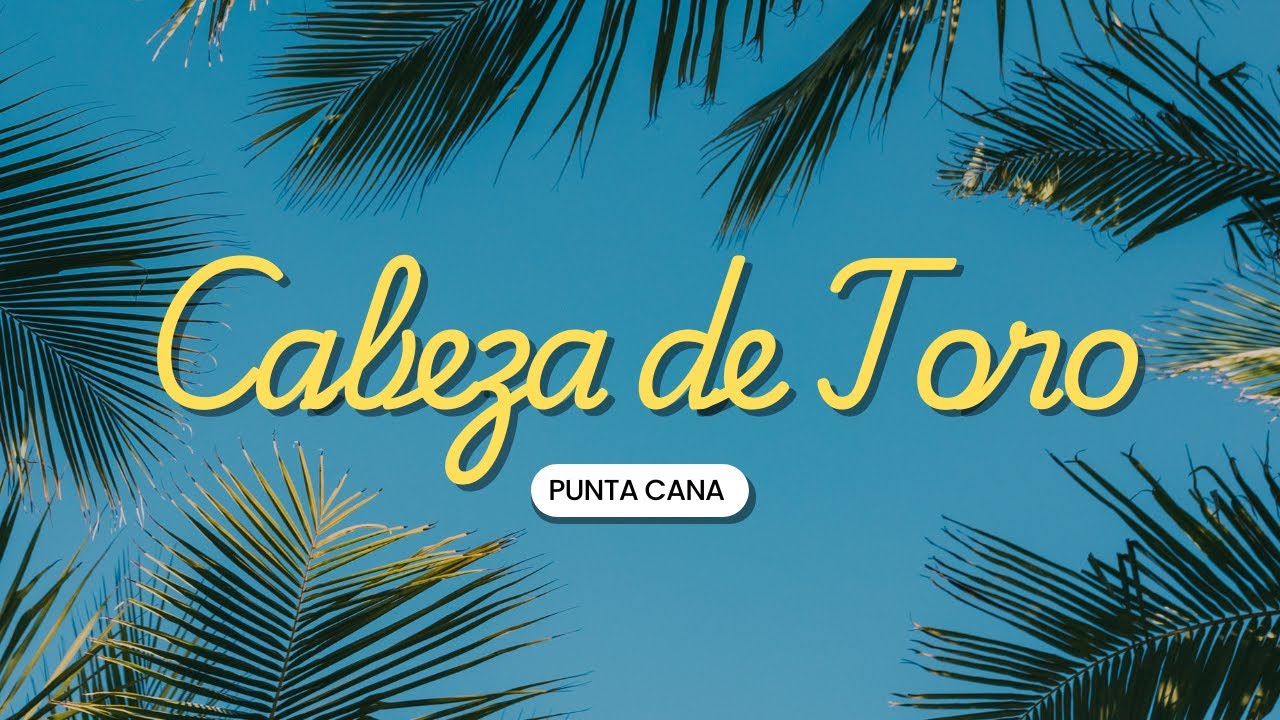 Punta Cana's BEST Kept Secret Playa Cabeza de Toro