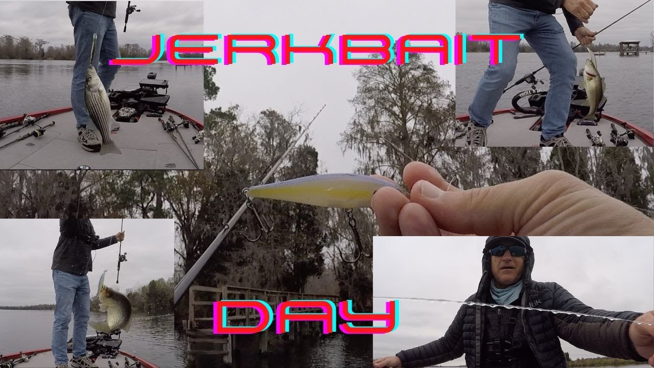 This Is Why You Fish The Jerk Bait  On The Cooper River!