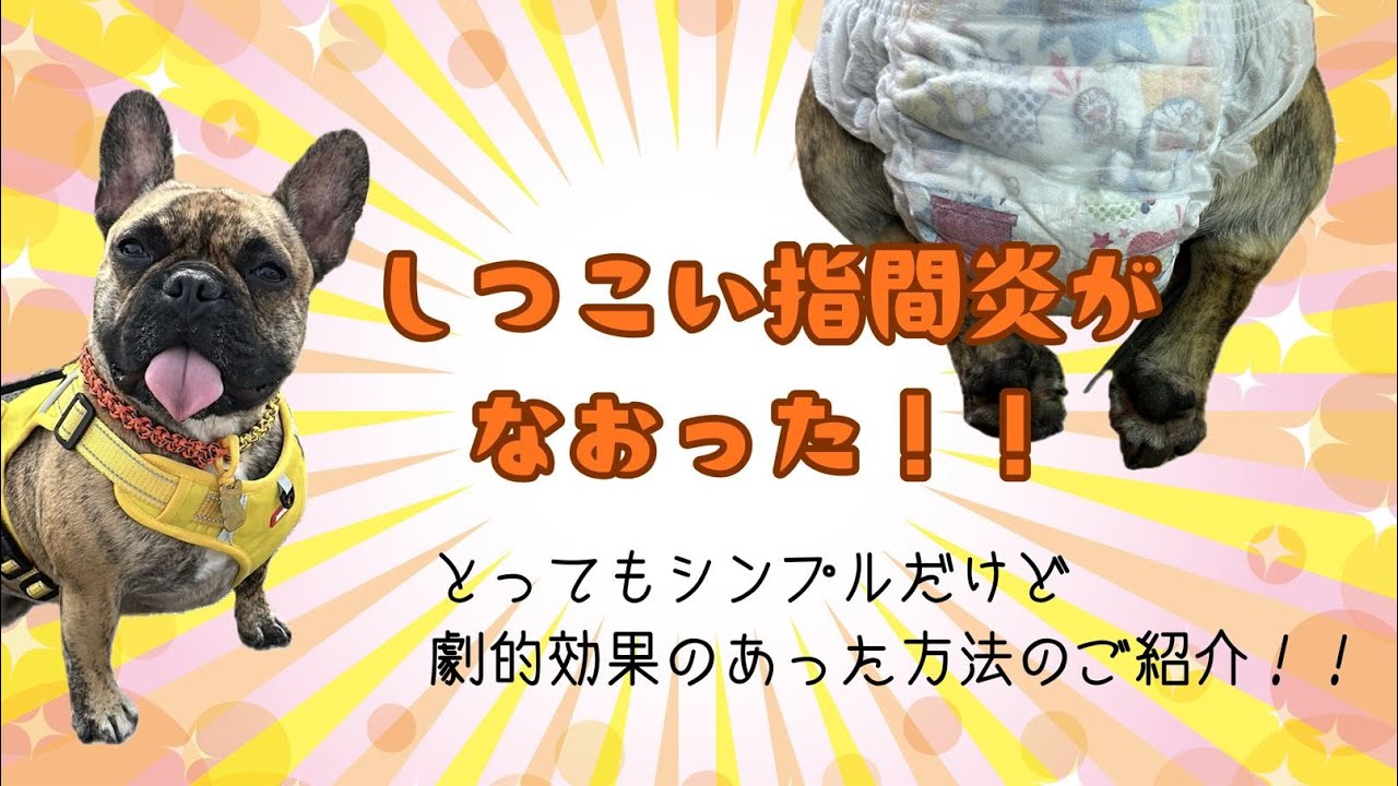 しかんえんと　おこげ　～指間炎がなおった！！～