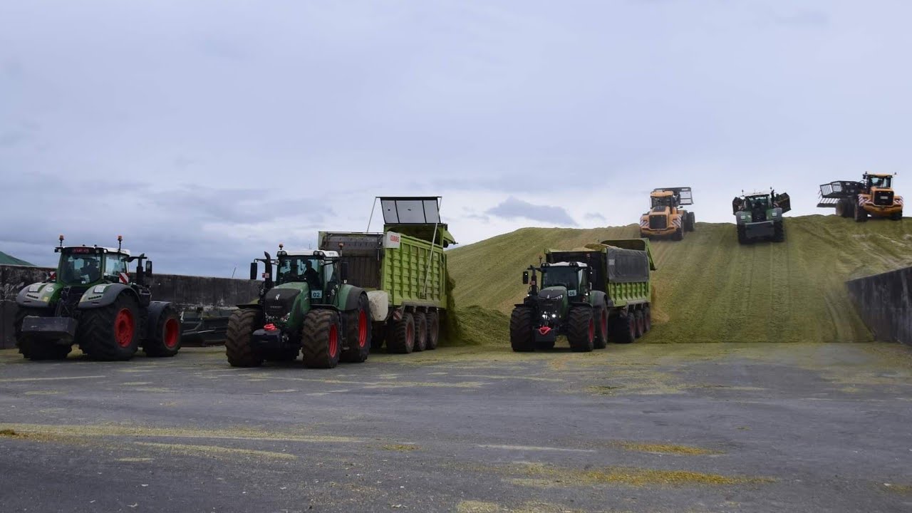 Ensilage de ma&iuml;s 2021 - 3 Claas jaguar  & 25 tracteurs Fendt &agrave; ce silo  - Steyns