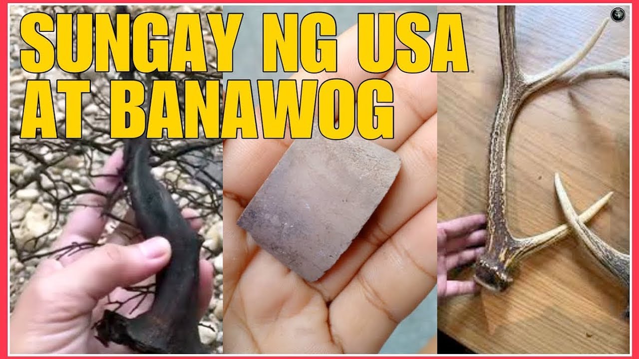 MGA TAGLAY NA GAMIT AT BISA NG BANAWOG AT NG SUNGAY NG USA MAINAM PALANG PANGONTRA | BHES TV