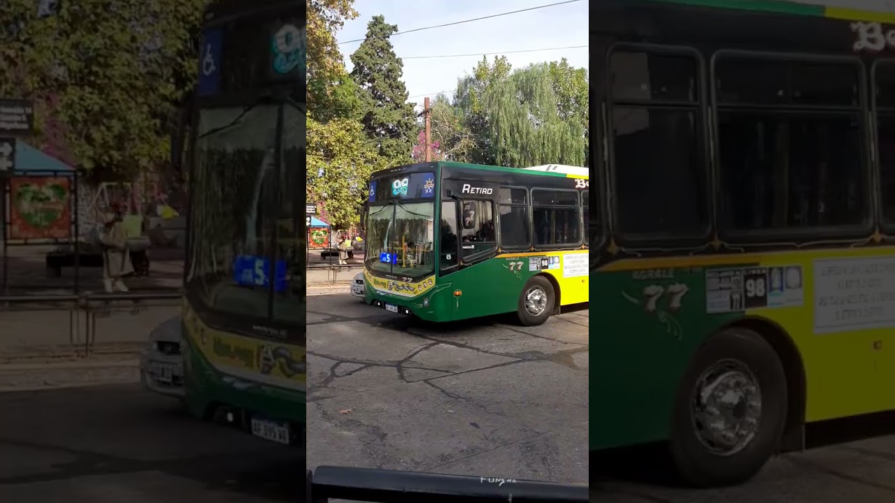 Linea 98 int. 77 (Versi&oacute;n 2023)