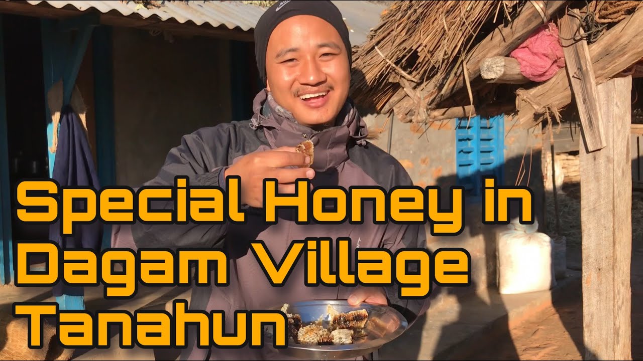 Honey in Tanahun Dagam village || आधुनिक मौरिपालन .