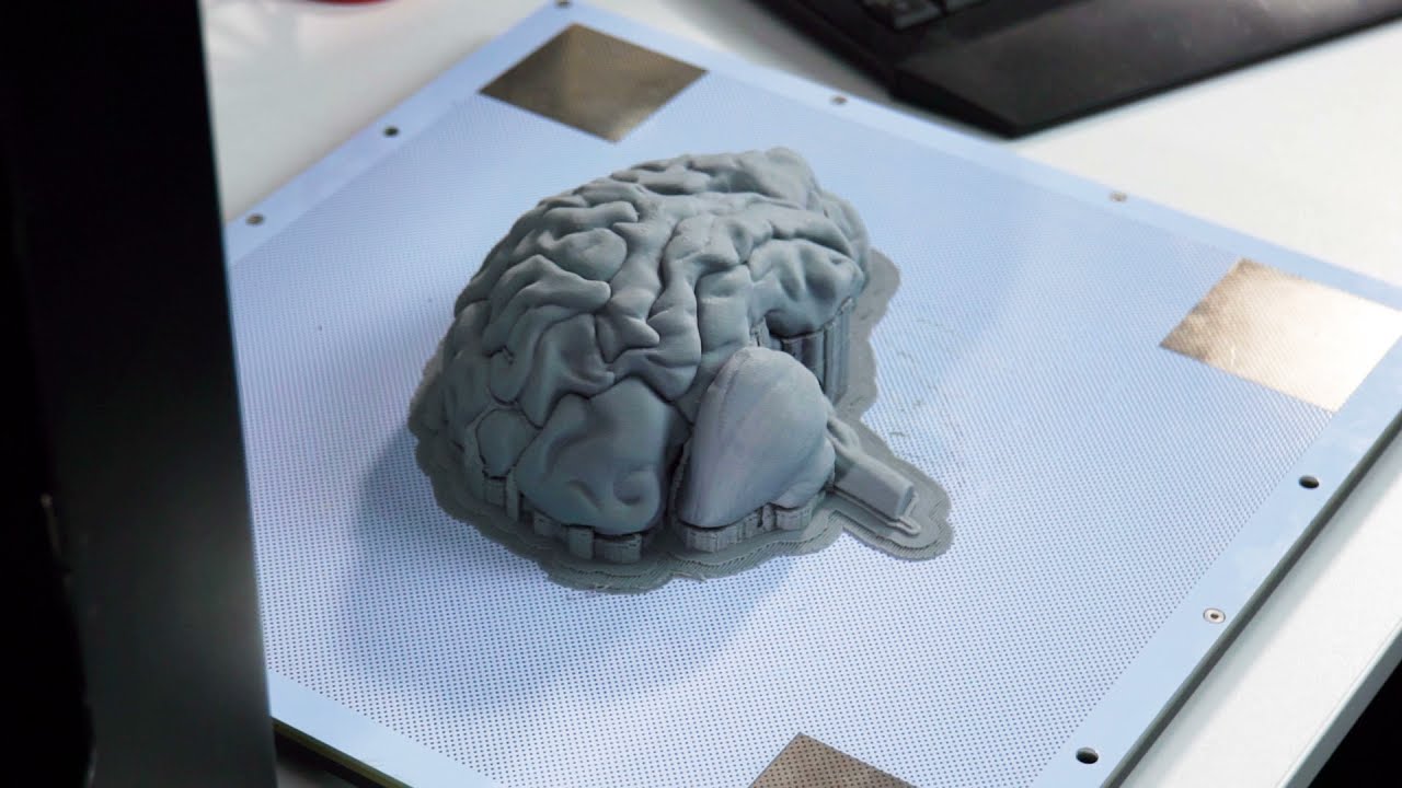 Zortrax M300 Plus 3D Printer | Timelapse of 3D Printing an Educational Model with Z-ABS Material