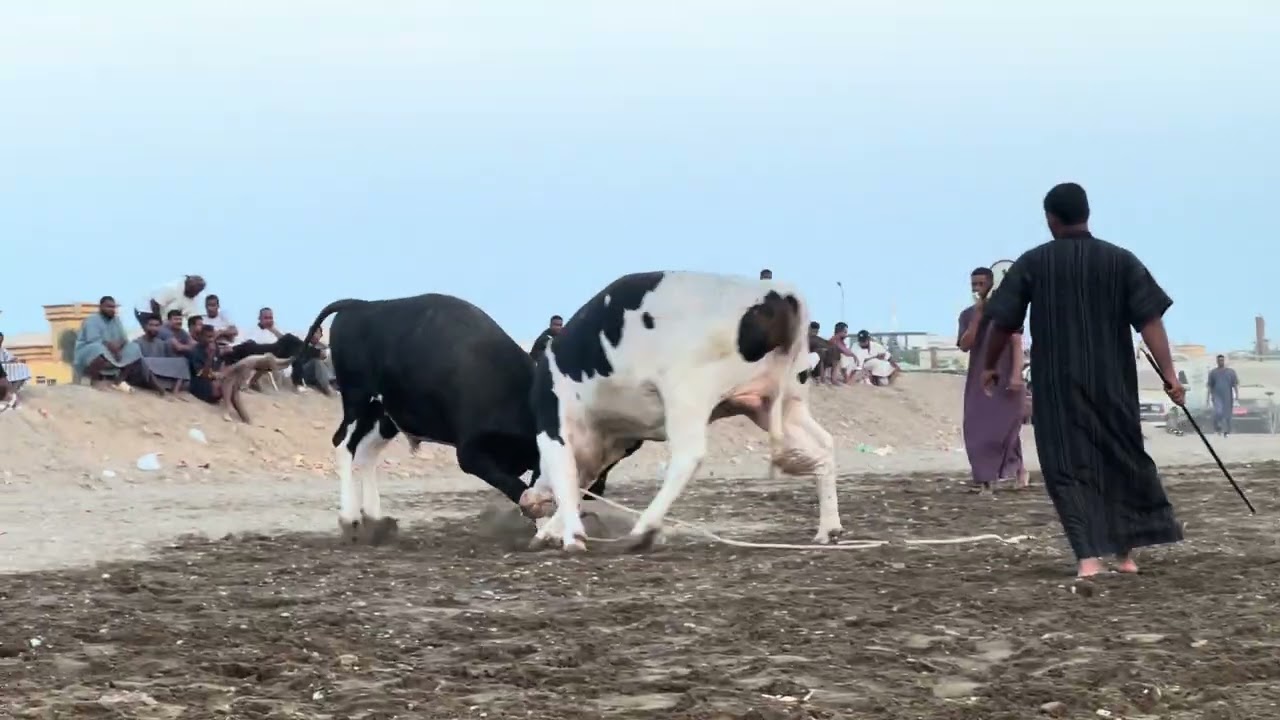 الهداف & النار