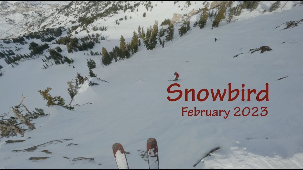 Skiing Snowbird in ONE DAY with friends