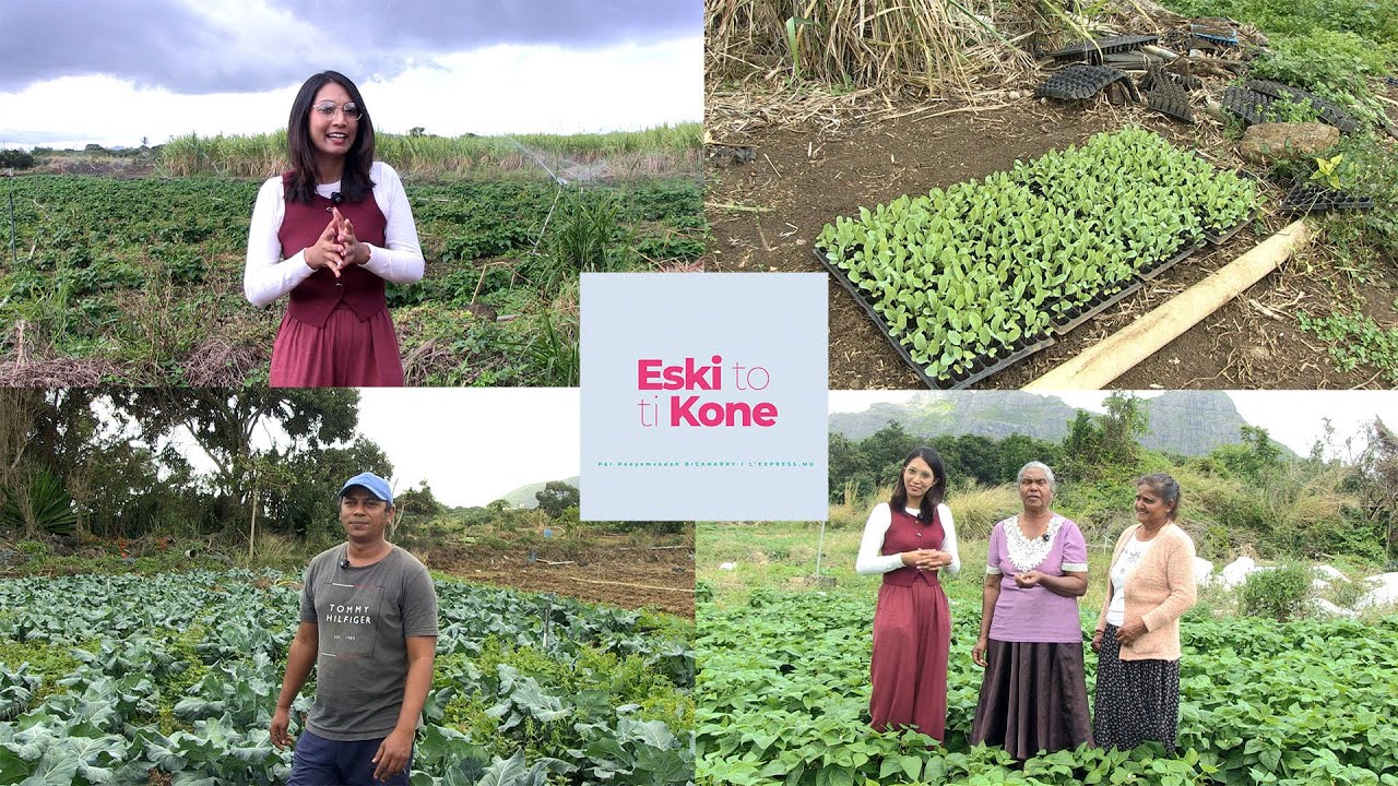 Eski to ti kone? : À la découverte de légumes oubliés chez un passionné