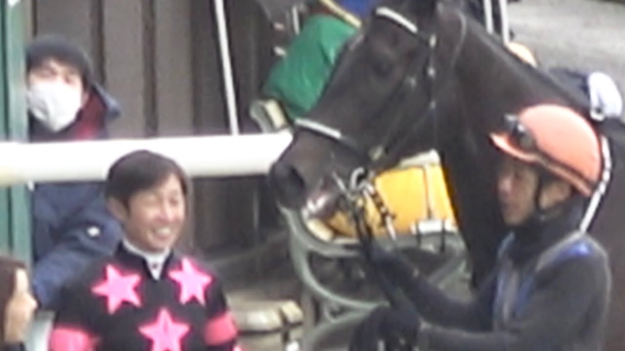 【現地】2026 初音ステークス テリオスララ 武豊騎手   【馬体重プラス34キロでも逃げ切り勝利！ 東京競馬場】