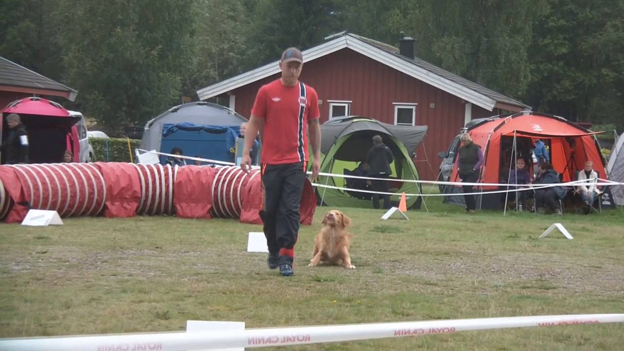 Enya rally lydighet NM 2016