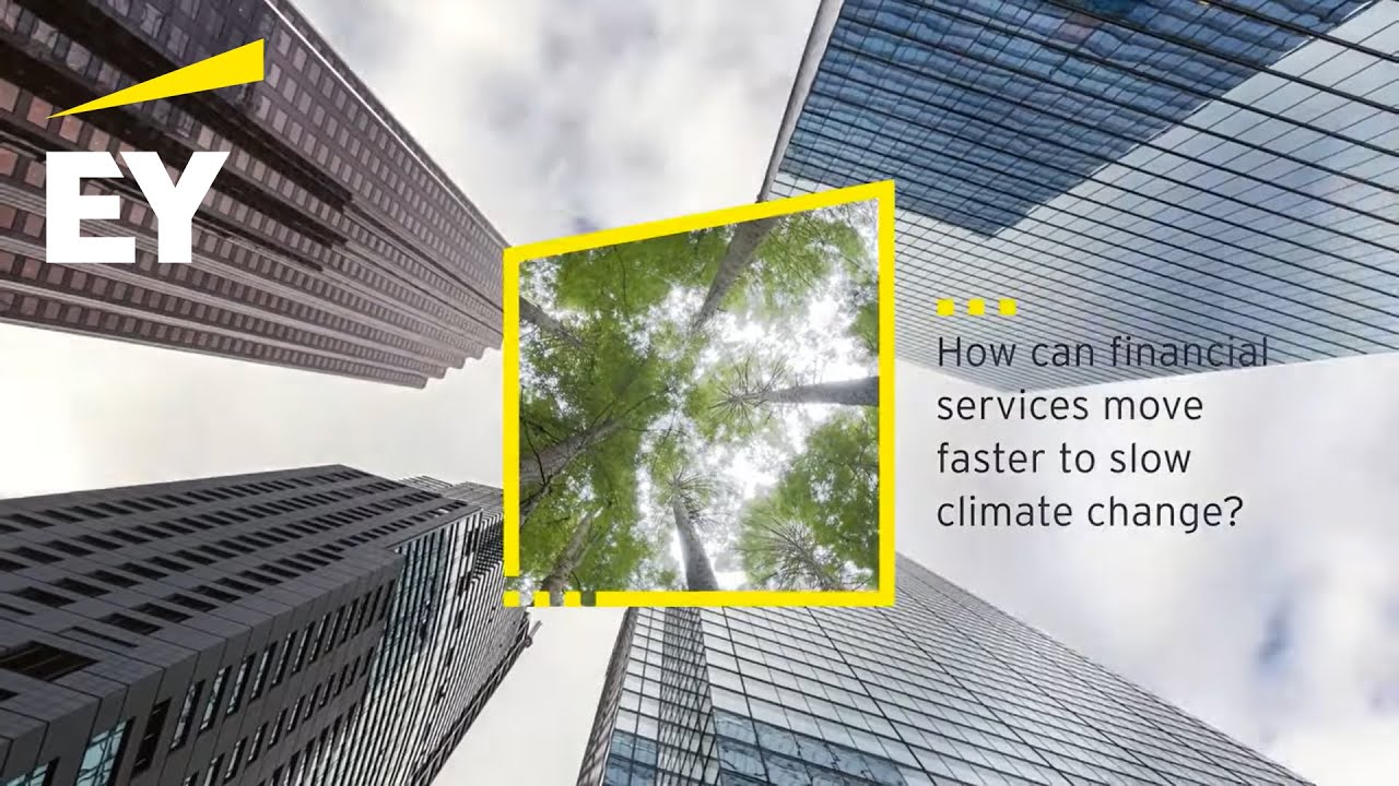 How can financial services move faster to slow climate change?