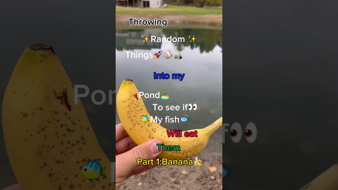 Do fish eat BANANAS?!? #fishing #shorts