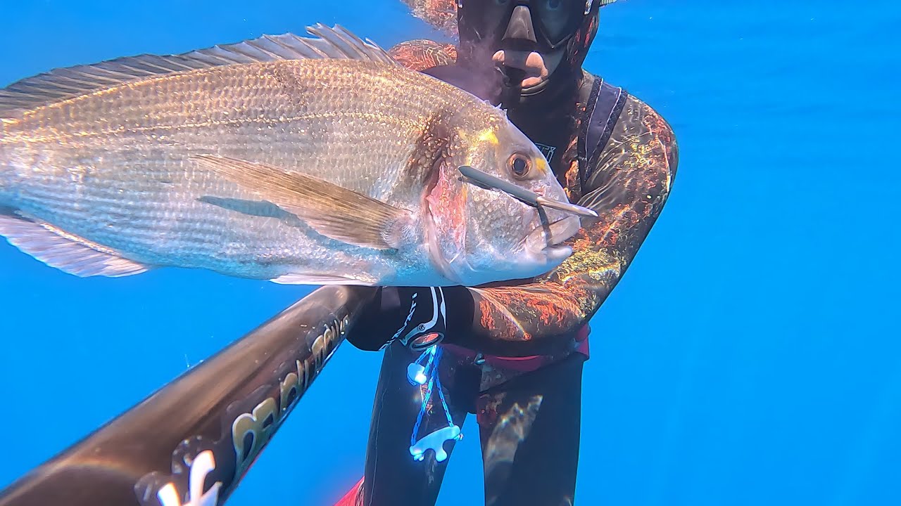 Pesca sub Sardinia: BRANCONE DI ORATONI...E  COPPIA DI PAGRO!!!