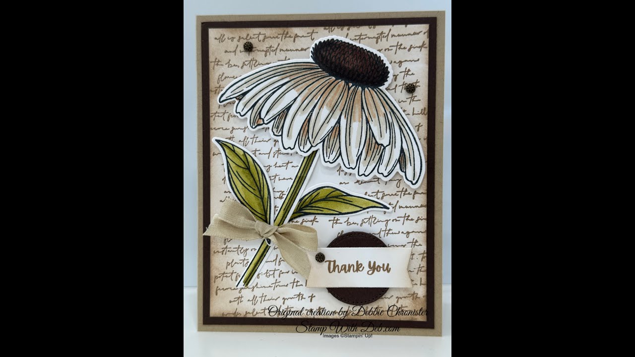 Coneflower Celebrations