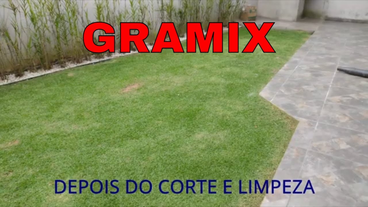 COMO ACABAR COM MATO NA GRAMA