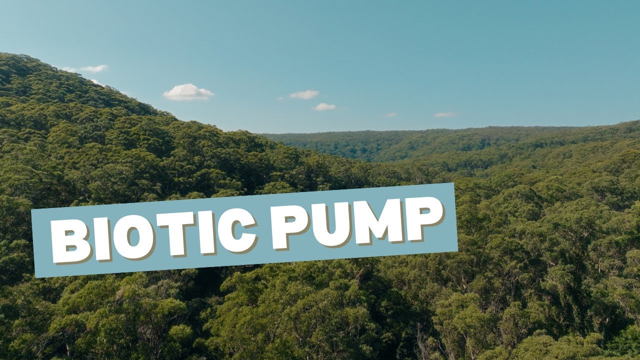 3. Building a Biotic Pump | Cool The Country
