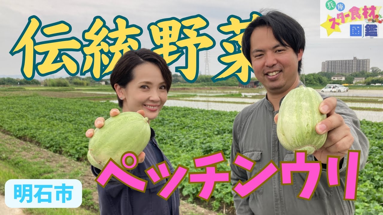 【兵庫★スター食材図鑑】知る人ぞ知る伝統野菜！明石のペッチンウリ