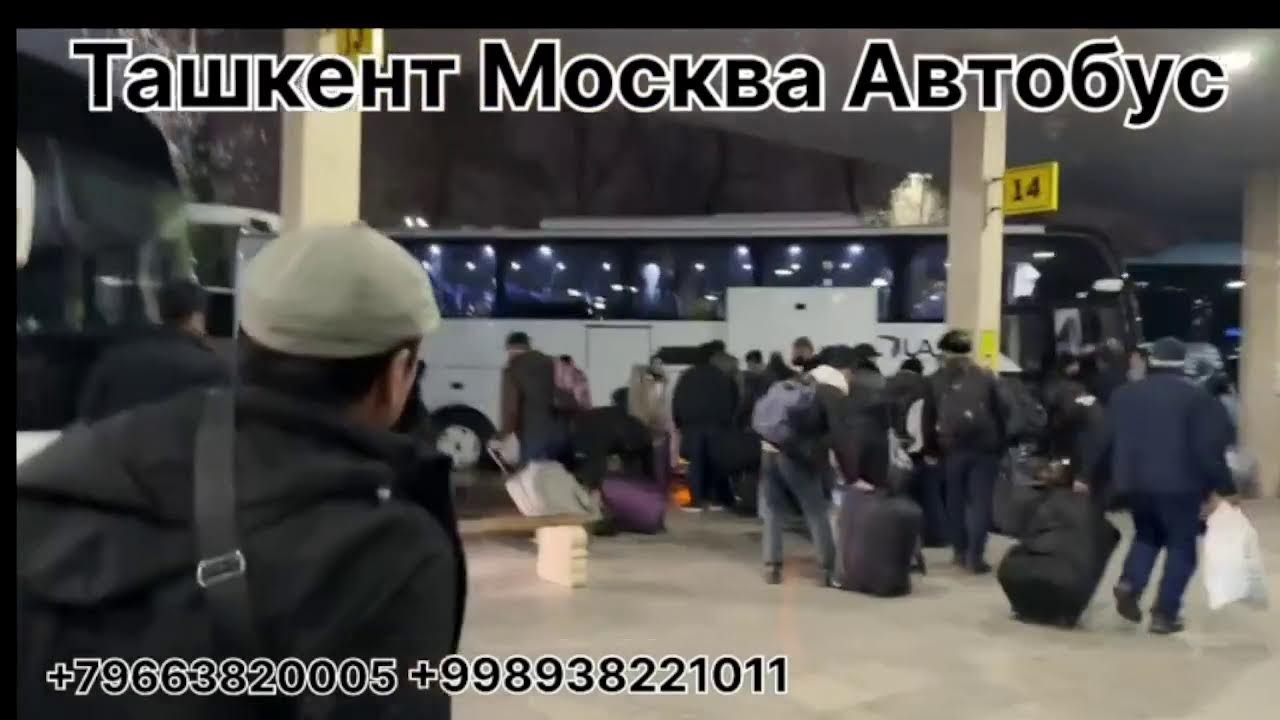 tashkent moskva avtobus #ташкент #москва #автобус