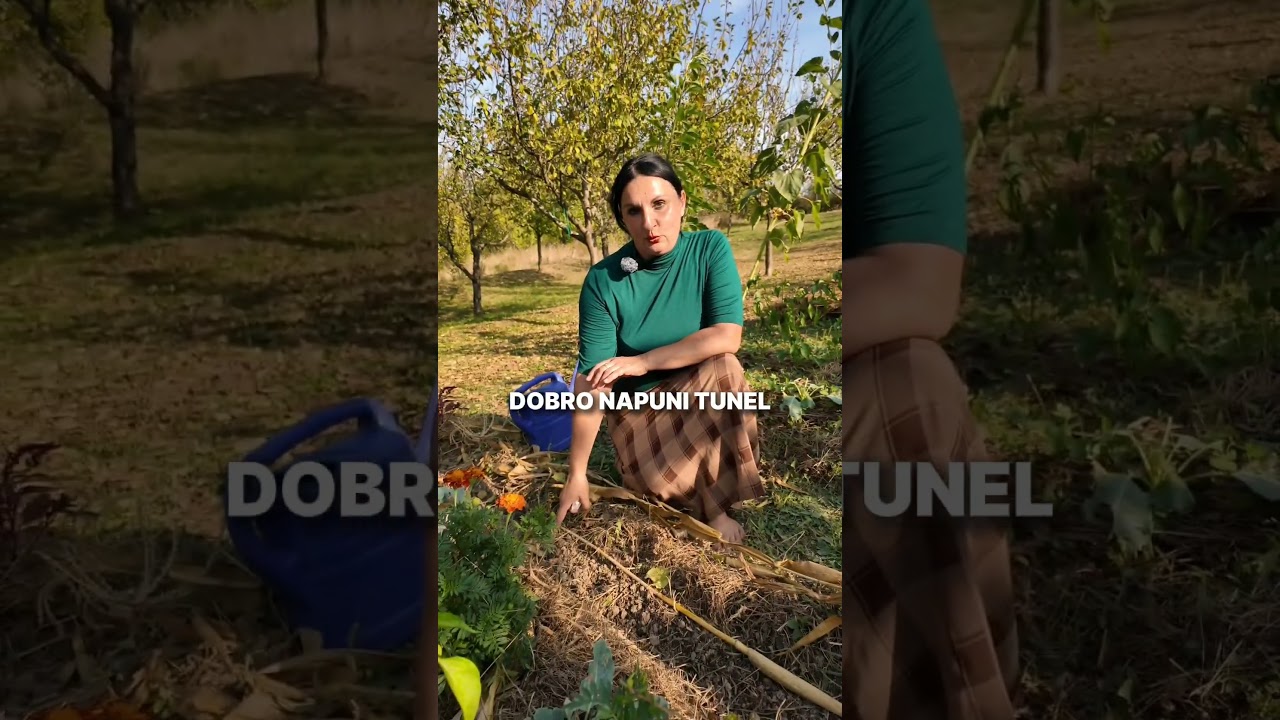 Сентябрьский посев моркови &ndash; СОБИРАЙТЕ ВСЮ ЗИМУ!