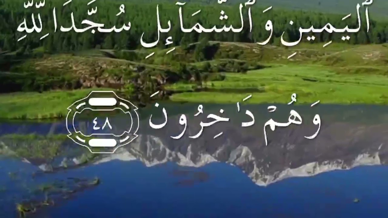 سورة النحل كاملة بصوت سعد الغامدي مكتوبة