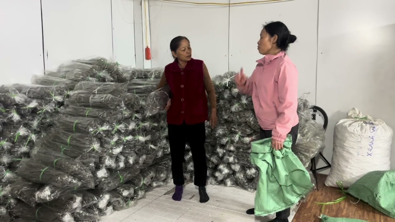 Mu lạp gan lì vào vơ vét như của thanh lý