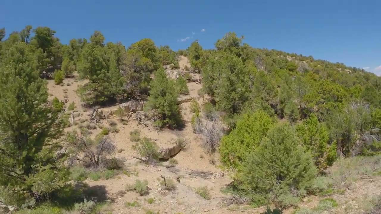 Fears, Tears, and Beers Enduro Stage 4 (Upper Ice Plant)