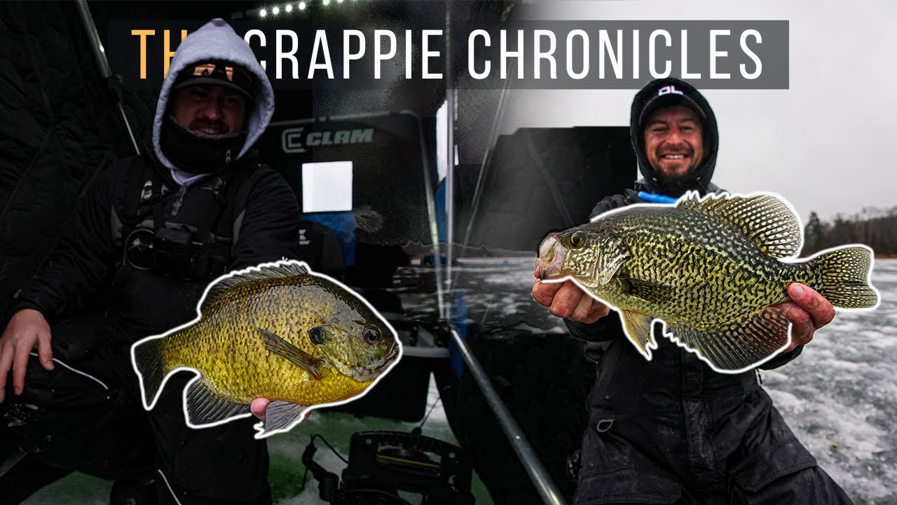 The SKYSCRAPERS of Lakes Country | SHALLOW Weed Bite - The Crappie Chronicles [S4:E6]