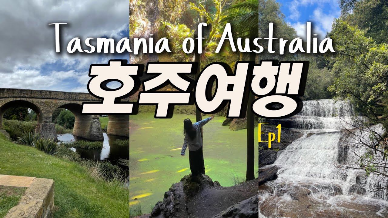 호주vlog 🇦🇺아직도 시드니 멜버른 브리즈번만 가? 진짜 호주를 보여줄게 🐨🦘 호주 최남단 섬 타즈매니아, 호바트 여행 브이로그 EP.1