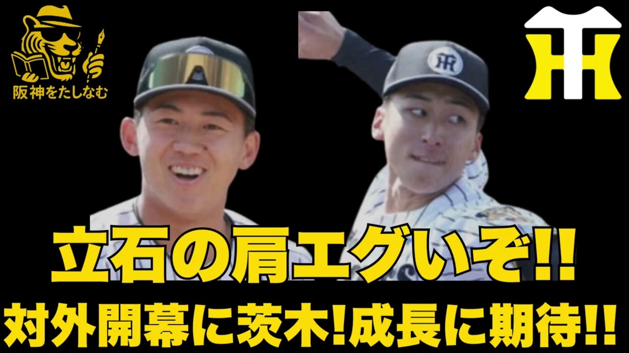 【キャンプ考察2/6🔥】テルエグっ46中16発‼️立石動く度に輝くやん‼️身体能力エグいて‼️茨木の日ハム戦めっちゃ楽しみ‼️#阪神タイガース＃阪神タイガースたしなむ#阪神キャンプ　2/6#立石正広