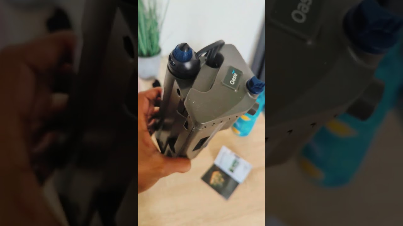 Oase Bioplus Thermo 50. Internal filter with heater. #calm #relaxing #chilled #fishtank #aquarium 