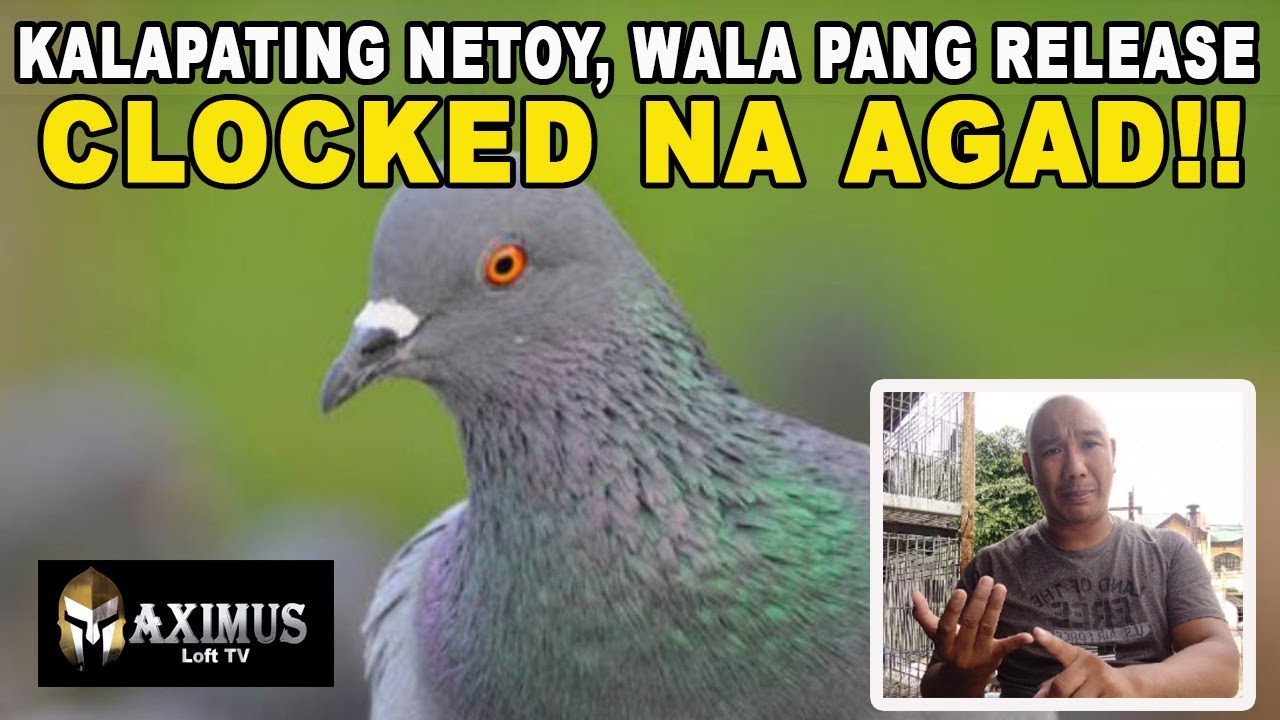 MADAYA! KALAPATING NETOY, WALA PANG RELEASE NAG CLOCKED NA AGAD