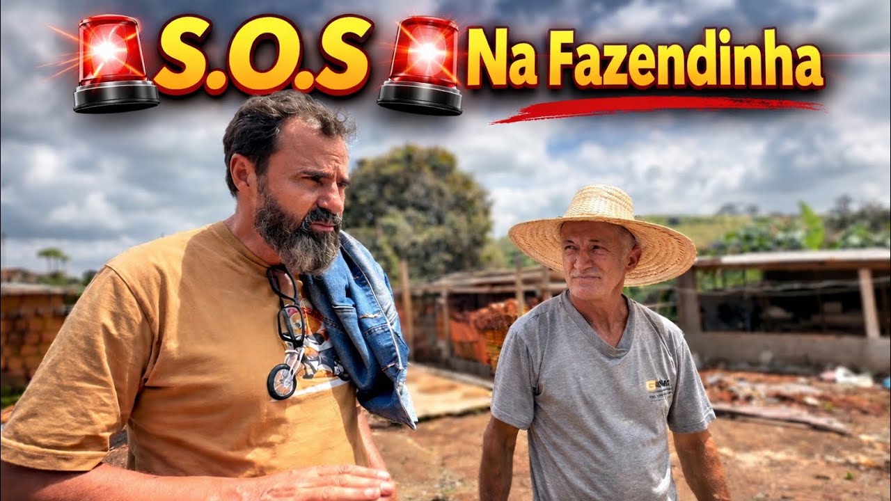 Olha o que aconteceu na fazendinha 🥹