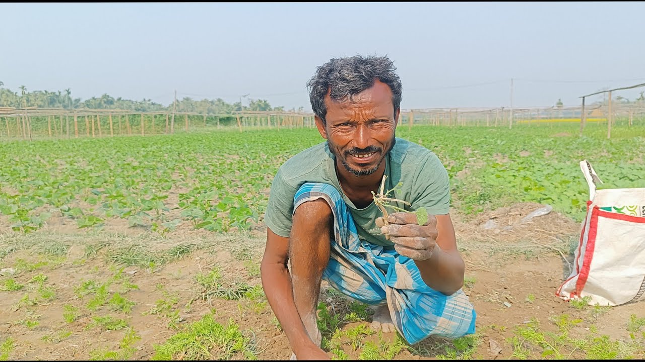  জানোৱাৰী ফেব্ৰুৱাৰী মাৰ্চত লগাব। ১১ মাহ বিকিব কমেও 3 লাখ টকা পাব। প্ৰয়োজন হ'লে 7002163162ফোন কৰিব।