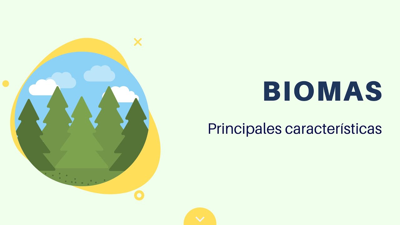 Biomas: clasificación y principales características.