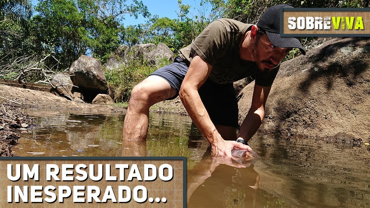 Armadilha de garrafa PET para peixes: Será que funciona? - Sobreviva Ep.09