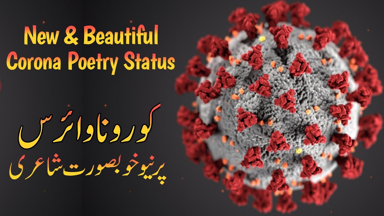 Corona shayari status video | Corona virus poetry in urdu whatsapp status